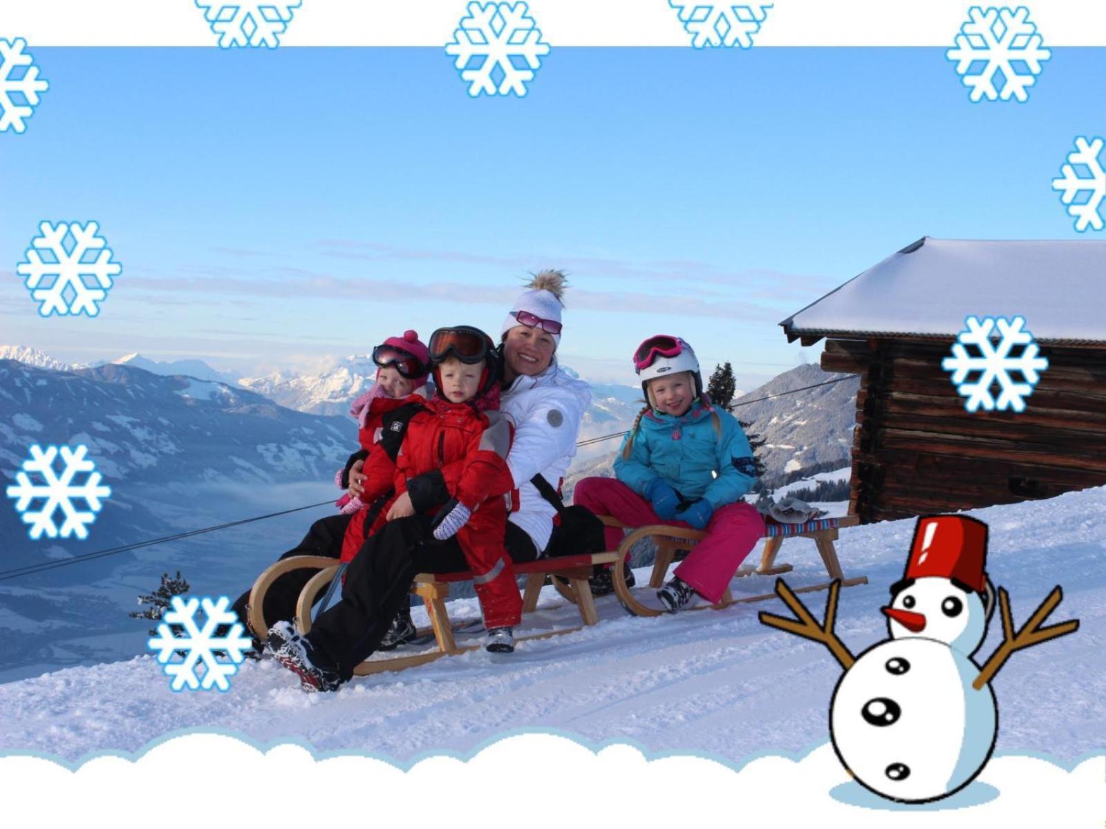Apart Silvana Zell am Ziller Cameră foto